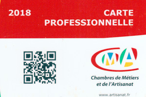 300 200 carte pro